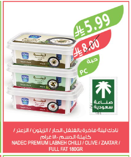 Chilli available at Farm  in KSA, Saudi Arabia, Saudi - Tabuk