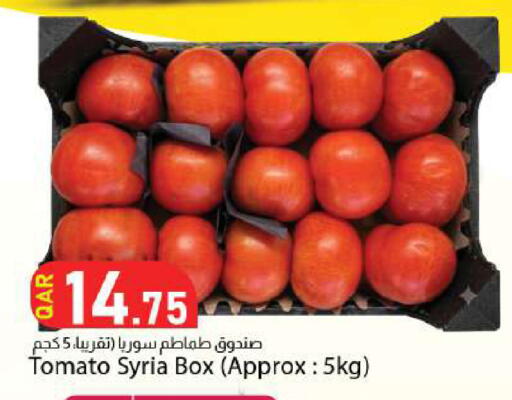 Tomato from Syria available at Dana Market in Qatar - Al Wakra
