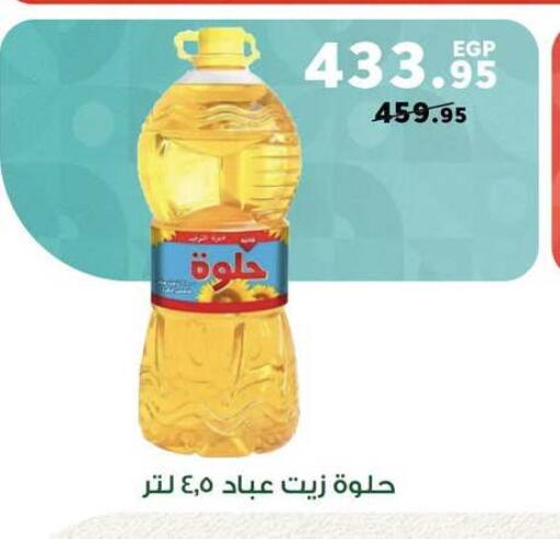 available at بنده in Egypt - القاهرة
