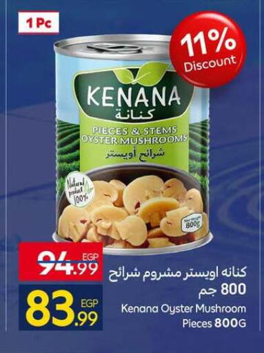 Mushroom available at كارفور in Egypt - القاهرة