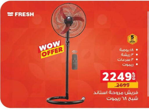 available at بنده in Egypt - القاهرة