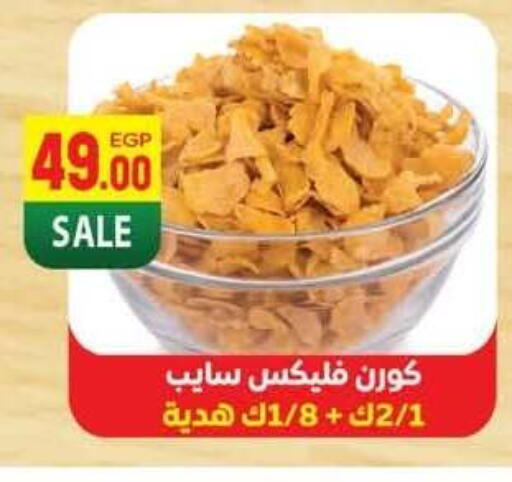 available at Hyper El Mansoura Shobra in Egypt - Cairo