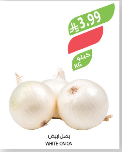 Onion available at المزرعة in مملكة العربية السعودية, السعودية, سعودية - تبوك