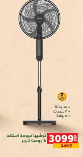 available at بنده in Egypt - القاهرة