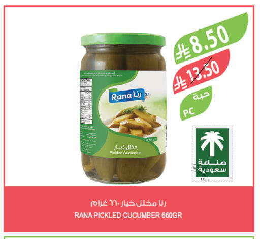 Cucumber available at المزرعة in مملكة العربية السعودية, السعودية, سعودية - الخبر‎