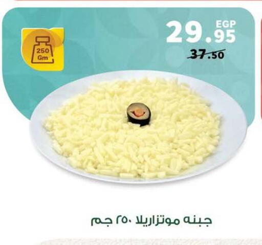 available at بنده in Egypt - القاهرة