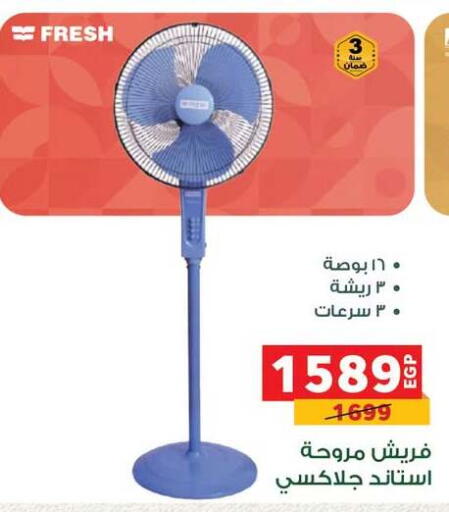 available at بنده in Egypt - القاهرة