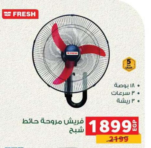 available at بنده in Egypt - القاهرة