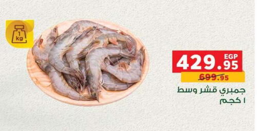 available at بنده in Egypt - القاهرة