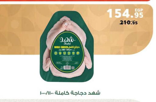 available at بنده in Egypt - القاهرة