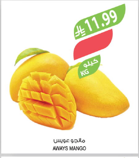 Mango available at Farm  in KSA, Saudi Arabia, Saudi - Al-Kharj