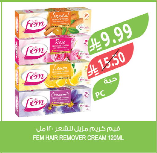 Lemon available at Farm  in KSA, Saudi Arabia, Saudi - Tabuk