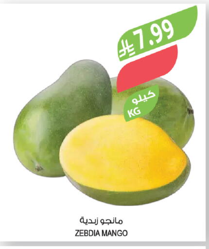 Mango available at Farm  in KSA, Saudi Arabia, Saudi - Al-Kharj