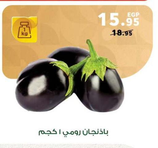 available at بنده in Egypt - القاهرة