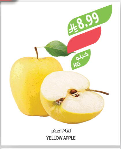 Apple available at المزرعة in مملكة العربية السعودية, السعودية, سعودية - تبوك