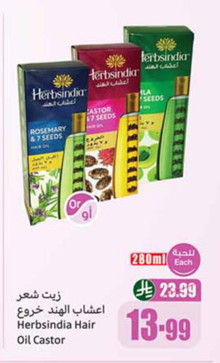Rosemary available at Othaim Markets in KSA, Saudi Arabia, Saudi - Al-Kharj