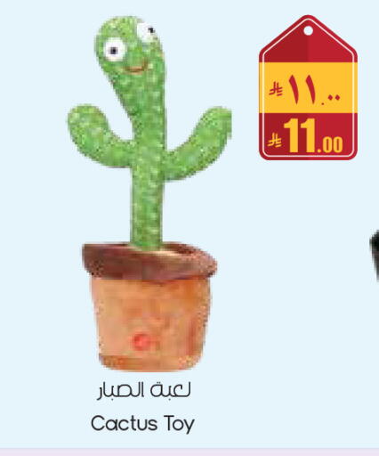 available at City Flower in KSA, Saudi Arabia, Saudi - Sakaka
