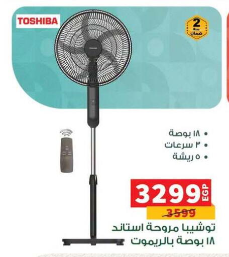 available at بنده in Egypt - القاهرة