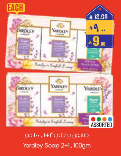 available at City Flower in KSA, Saudi Arabia, Saudi - Al-Kharj