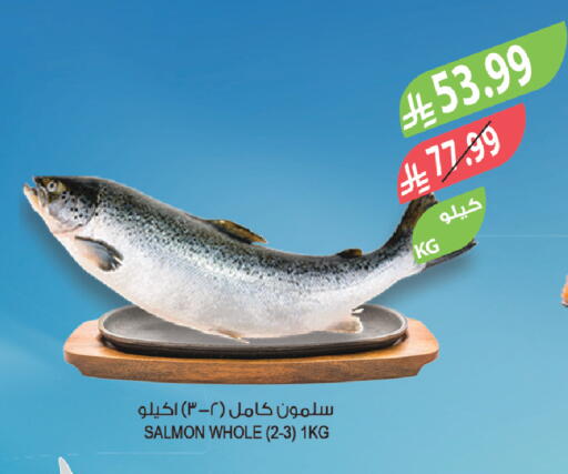 available at Farm  in KSA, Saudi Arabia, Saudi - Tabuk