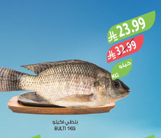 available at Farm  in KSA, Saudi Arabia, Saudi - Tabuk