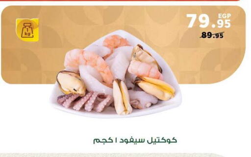 available at Panda  in Egypt - Cairo