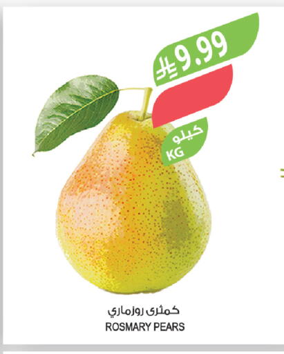 available at المزرعة in مملكة العربية السعودية, السعودية, سعودية - تبوك