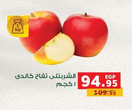 available at Panda  in Egypt - Cairo