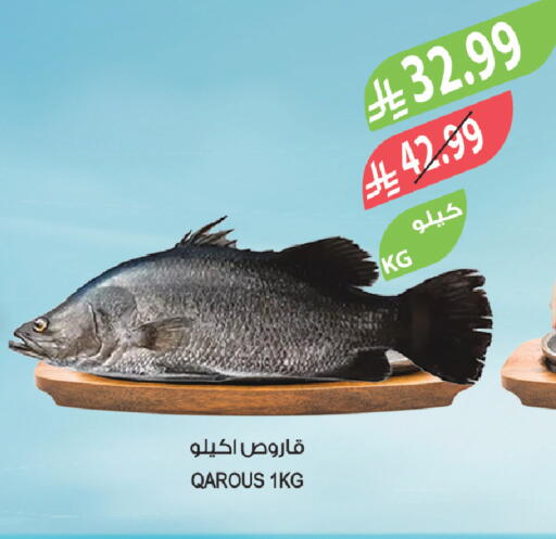 available at المزرعة in مملكة العربية السعودية, السعودية, سعودية - الخرج