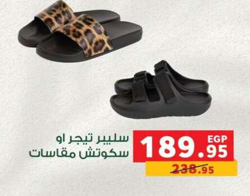 available at بنده in Egypt - القاهرة