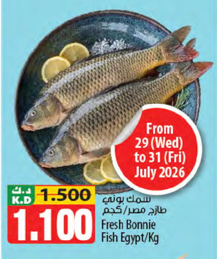 Mango available at Mango Hypermarket  in Kuwait - Jahra Governorate