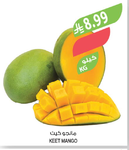 Mango available at Farm  in KSA, Saudi Arabia, Saudi - Al-Kharj