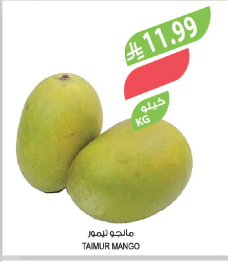 Mango available at Farm  in KSA, Saudi Arabia, Saudi - Al-Kharj