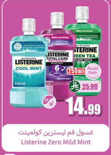 Mint available at Othaim Markets in KSA, Saudi Arabia, Saudi - Al-Kharj