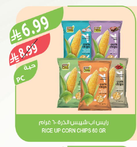 Tomato available at Farm  in KSA, Saudi Arabia, Saudi - Al-Kharj