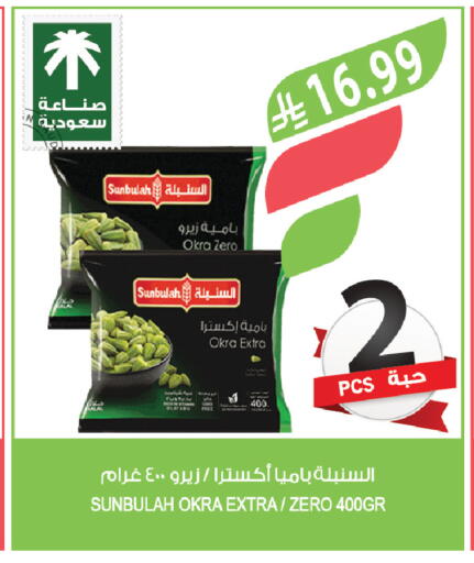 Okra available at Farm  in KSA, Saudi Arabia, Saudi - Tabuk