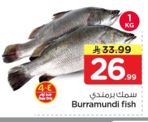 available at نستو in مملكة العربية السعودية, السعودية, سعودية - الخرج