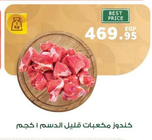 available at بنده in Egypt - القاهرة