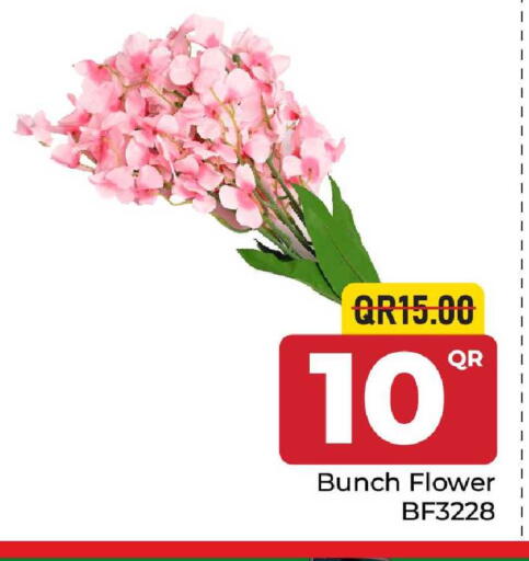 available at مركز التموين العائلي in قطر - أم صلال