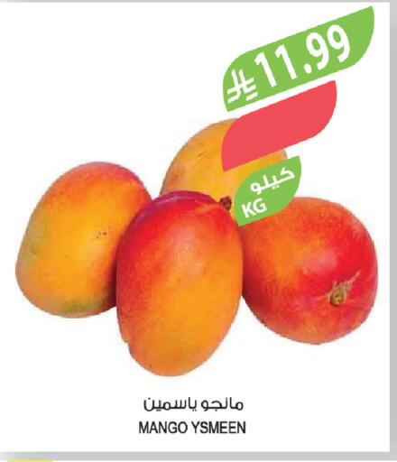 Mango available at Farm  in KSA, Saudi Arabia, Saudi - Al-Kharj