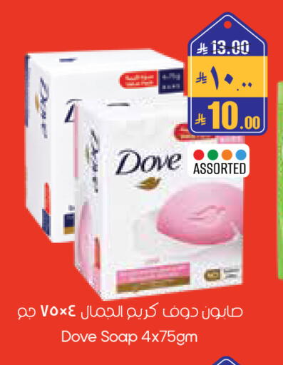 available at City Flower in KSA, Saudi Arabia, Saudi - Sakaka