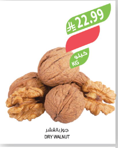 available at المزرعة in مملكة العربية السعودية, السعودية, سعودية - تبوك