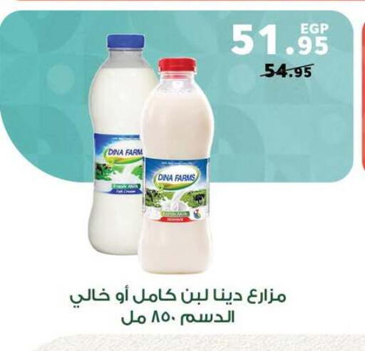 available at بنده in Egypt - القاهرة