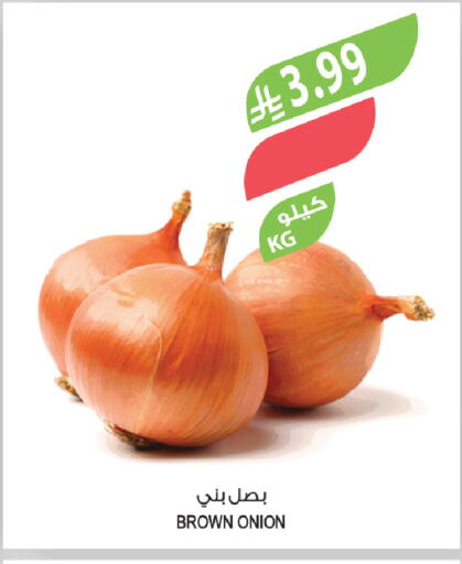 Onion available at المزرعة in مملكة العربية السعودية, السعودية, سعودية - تبوك