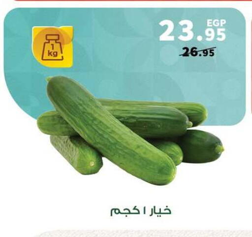 available at بنده in Egypt - القاهرة