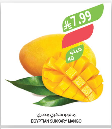 Mango available at Farm  in KSA, Saudi Arabia, Saudi - Al-Kharj