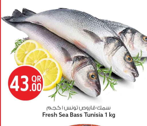 available at سفاري هايبر ماركت in قطر - الخور