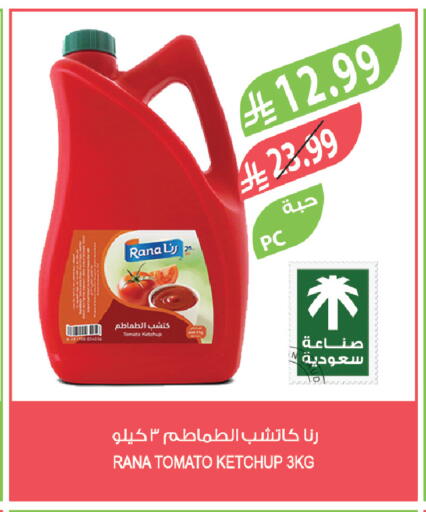 Tomato available at Farm  in KSA, Saudi Arabia, Saudi - Al-Kharj