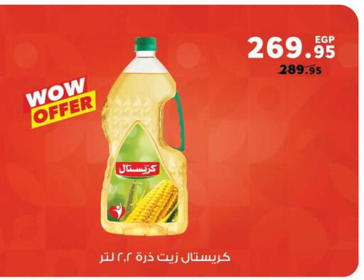 available at بنده in Egypt - القاهرة