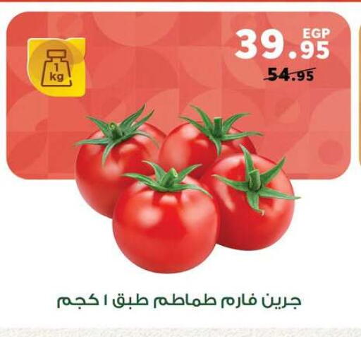 available at بنده in Egypt - القاهرة